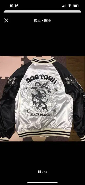 [ DOG TOWN ] 스카잔