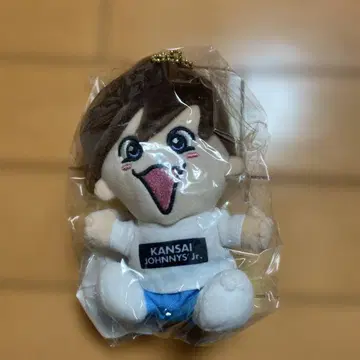 나니와단시 후지와라 죠이치로 치비누이 미개봉