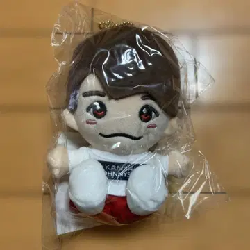 나니와단시 니시하타 다이고 치비누이 미개봉