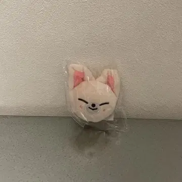 아이엔 폭시 봉제 인형 마그넷