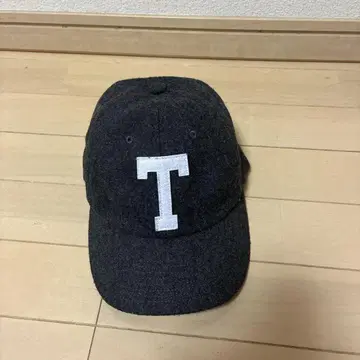 THE NORTH FACE 다크 그레이 캡 NN41616