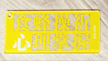 트레이딩 네임 키링 쇼쿠호 미사키