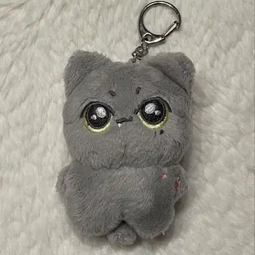 ENHYPEN 제이 봉제 인형