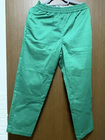 Dickies 디키즈 루즈 실루엣 스케이트 팬츠