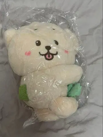 nctwish 재희 대영 봉제 인형 백 캐릭터 백 재희 대영