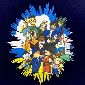DRAGON BALL TEE 티셔츠 드래곤볼 모노노케 히메