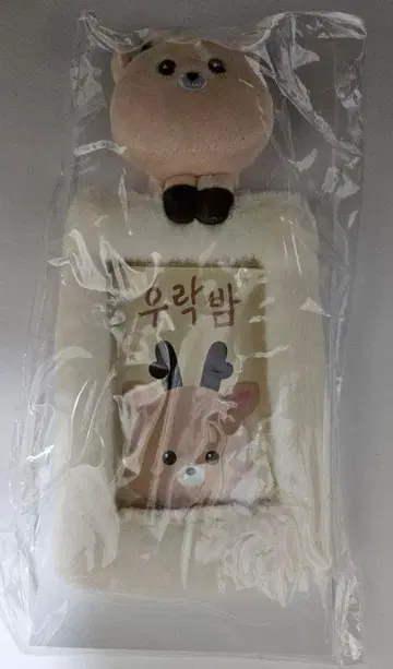 RIIZE 성찬 트레이딩 카드 케이스