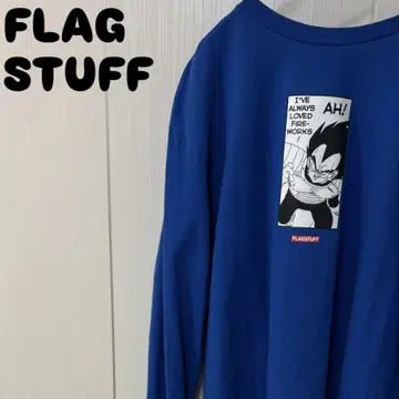 FLAGSTUFF 롱 T