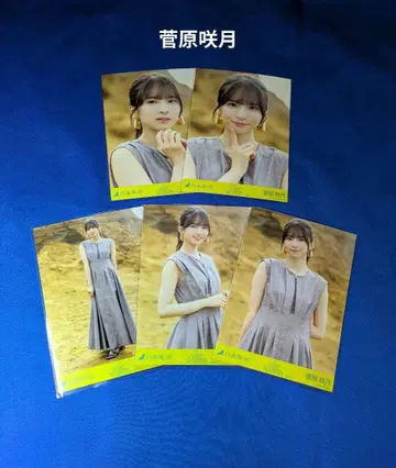 노기자카46 스가와라 사츠키 Same numbers MV 5종 컴프