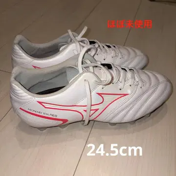 모나르시다 네오 2
