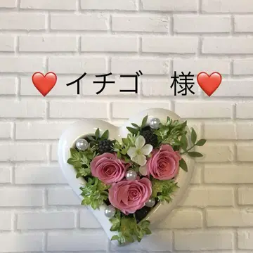 이치고 님 모음