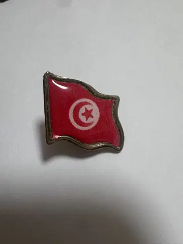 튀니지 국기 핀 배지