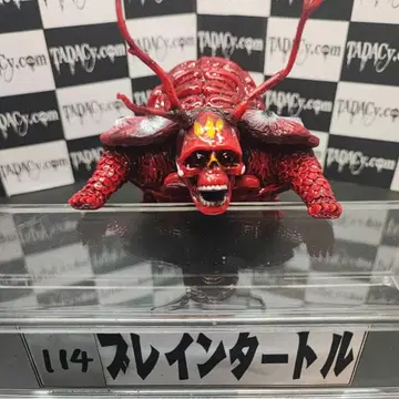 114 브레인 터틀
