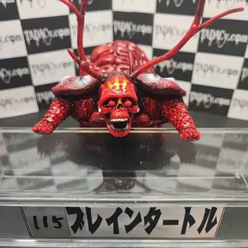 115 브레인 터틀