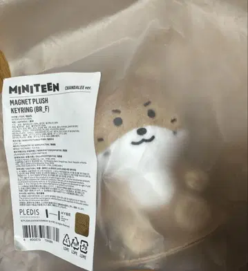 SEVENTEEN miniteen 찬다리 마그넷 키링