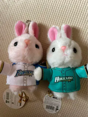 나카지마 타쿠야 십이지신 키체인 토끼