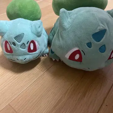 포켓몬 이상해씨 봉제 인형 세트