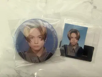 키도페노 스즈키 루이 2세트