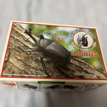 이마이 세계의 곤충 컬렉션 장수풍뎅이 태엽 구동 레어