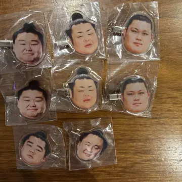 스모 가챠 헤어핀 8개