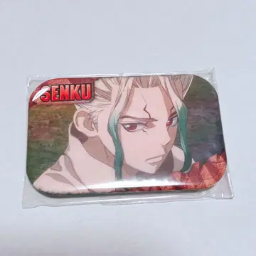 Dr.STONE 이시가미 센쿠 캔뱃지