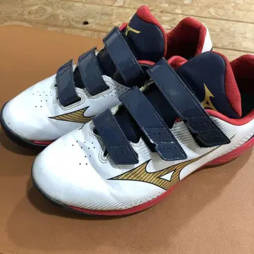Mizuno 트레이닝 슈즈 25.5cm