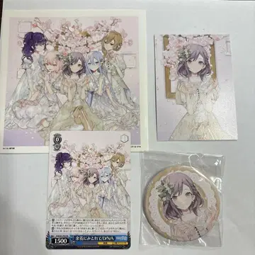 프로세카 CD 혜택 시노노메 에나 세트