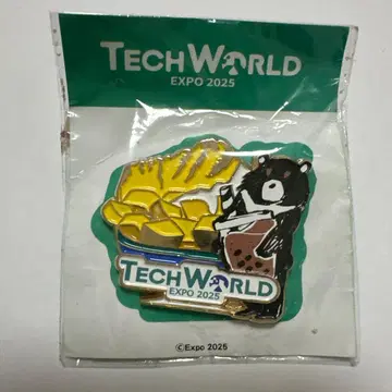 TECH WORLD EXPO 2025 핀 배지