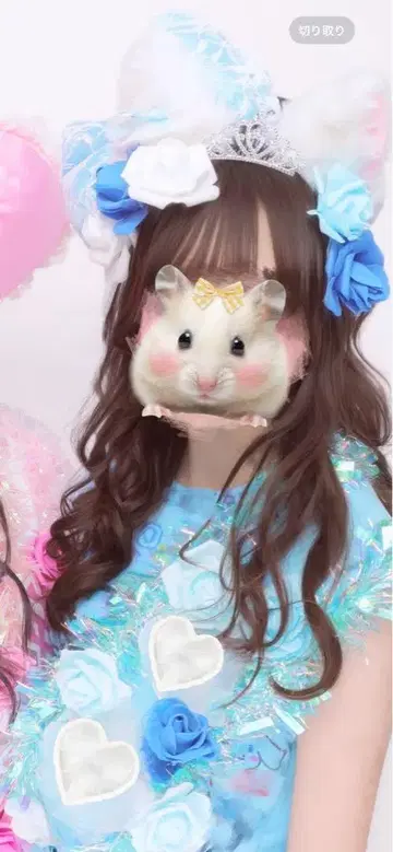 스카이블루 벼머리 세트