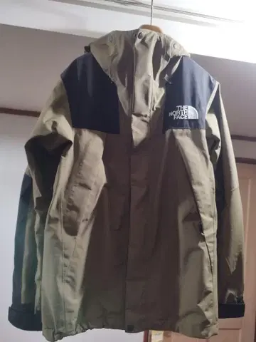 THE NORTH FACE 마운틴 자켓 비치 그린 NP61800