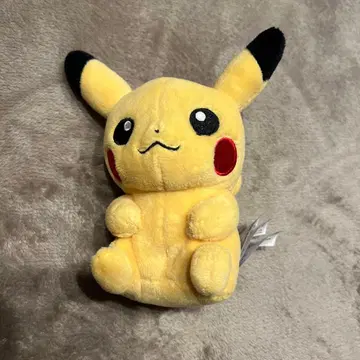 포켓몬 센터 피카츄 봉제 인형
