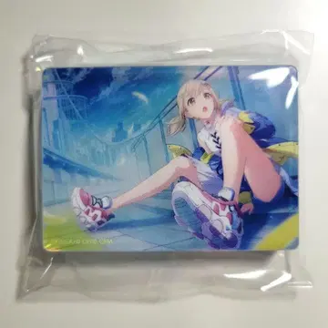 프로세카 코하네 노블 아트