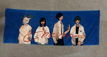 Chevon 타월