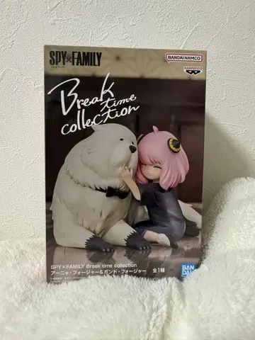 SPY x FAMILY 아냐