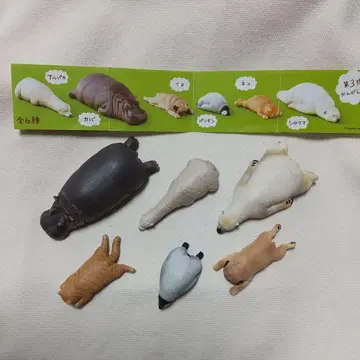 zoozoozoo