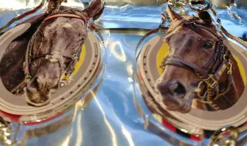 netkeiba 이어지는 아크릴 참 마이너 글론 윈 키 토스 세트
