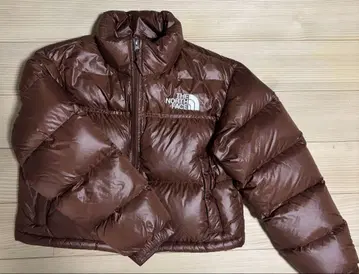 THE NORTH FACE 브라운 다운 자켓