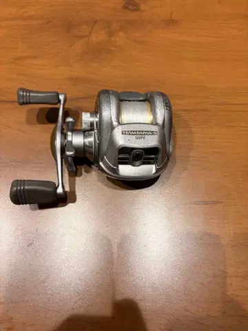TEAM DAIWA 103pv 베이트 릴 실버