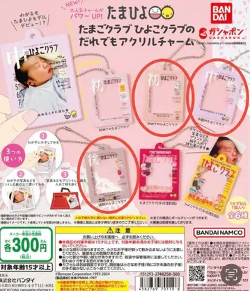 타마고 클럽 히요코 클럽의 누구나 아크릴 참 3종