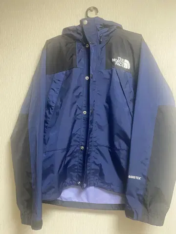 THE NORTH FACE 고어텍스 마운틴 후드티