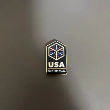 USA EXPO 2025 OSAKA 핑 배지