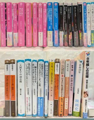 노이치고 문고 연애 소설 외 묶음 판매