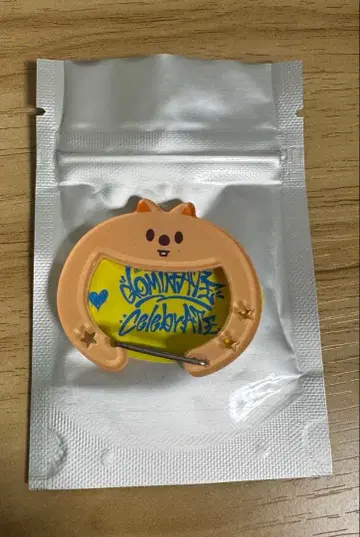 SKZOO SECRET ACRYLIC CARABINER 한쿼카