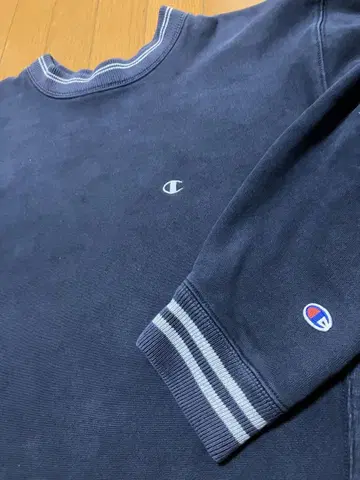 챔피온 Champion 리버스 위브 빈티지 M