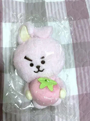 BT21 후르츠 봉제 인형 M COOKY