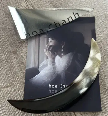 hoa Chanh 헤어 클립