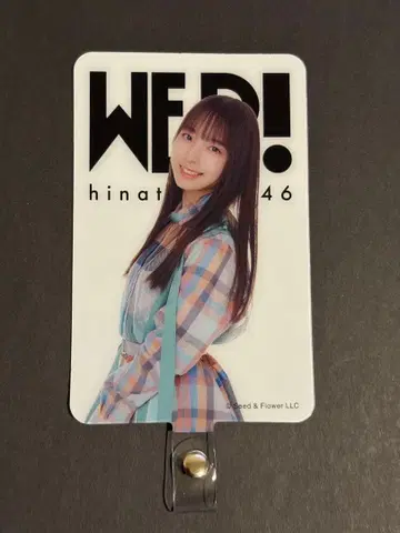 히나타자카46 [ WER! ] 폰탭 와타나베 리나