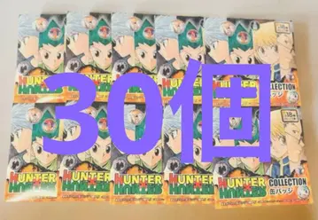 HUNTER x HUNTER 컬렉션 캔뱃지 30개