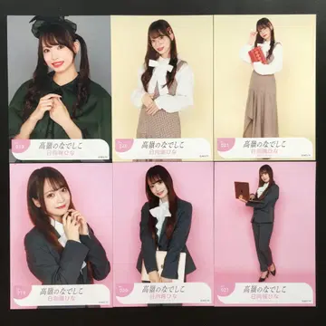 6010 타카네노 나데시코 히나타 히나 브로마이드 6장 세트