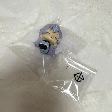 니지콧토 호시미치 쇼